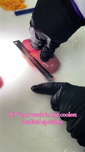 Casem (@surgicalpathology)’s video of Medical Specialties