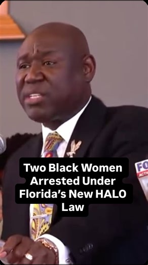 Ben Crump on Instagram: "The Jacksonville (FL) Sheriff's Office released bodycam footage of the brutal arrest of Erika McGriff — but it only confirmed the inhumanity. In addition to Erika McGriff, two Black women who were bystanders were jailed under Florida's HALO law."
