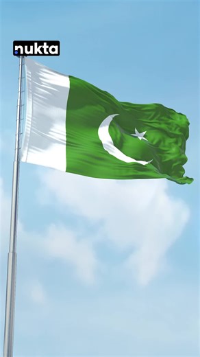 Record-Breaking Remittances Surge in Pakistan 2024