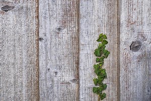Don’t Ignore Small Sins - With All Wisdom