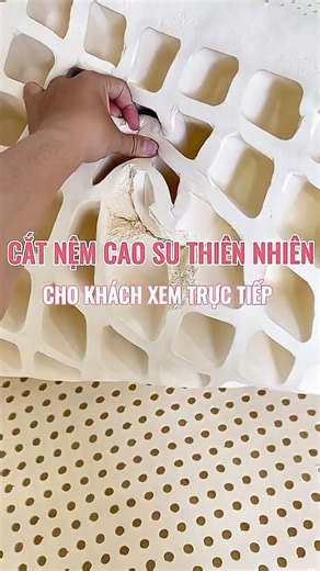 Cắt nệm cao su chứng minh hàng thật nguyên khối #nemcaosu #nemcaosunon #nemcaosuthiennhien