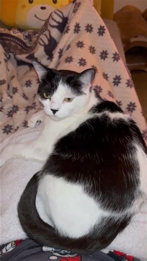 en détente sur les jambe de maman