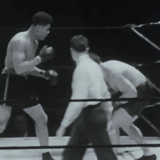 Joe Louis vs Al Ettore Highlights | Anita Skorgan