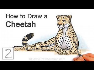 How to Draw a Cheetah | Colored Marker Tutorial