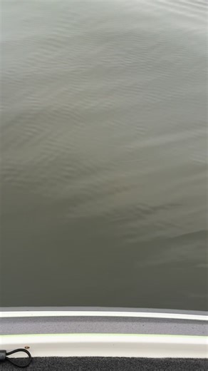 5.8K views · 37 reactions | Yellow Magic poppers! We have them! | Fish Bonz General Store & Tackle | Facebook