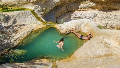 מפלים ויעלים: המדריך המלא לטיול בשמורת עין גדי