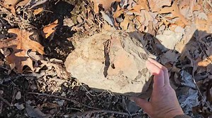 Exploring Beautiful Ozarks Mountain Rock Formations & Bubbling Creeks