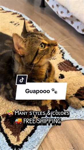 My daughter’s cat chose this rug as his favorite spot 🐱💖 That’s how I knew it was a good one. Soft, cozy, and made especially for cats. Perfect for naps, stretching, and playtime. Plus, it looks adorable in any room. ✨ Different styles & colors 🚚 Free shipping #catrug #catlovers #tiktokshopcreatorpicks #maryfershop #catsoftiktok