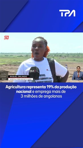 Agricultura representa 19% da produção nacional e emprega mais de 3 milhões de angolanos A produção agrícola no país registou um crescimento de 6% nos últimos oito anos, aumentando para 19% toda a capacidade produtiva nacional. Os números foram apresentados pelo ministro de Estado para a Coordenação Económica, que esteve no Moxico para a abertura da campanha agrícola, 2025/2026. | Televisão Pública de Angola - TPA "Oficial"