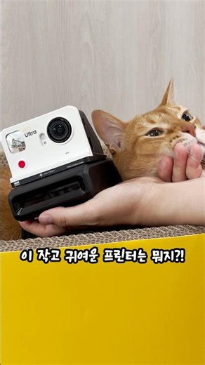 #협찬 인스타360 Go Ultra Funcam Case Kit