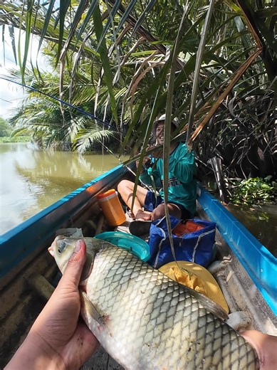 Thầy khoa câu dính con hàng độc lạ #caucasong #cauca #caucatunhien #fishing