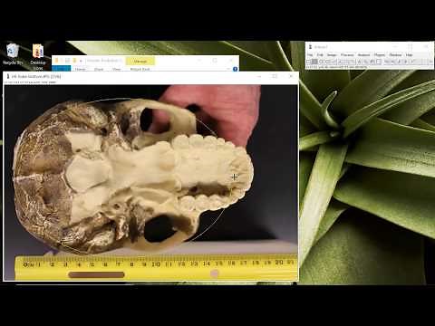 ImageJ Download and Use Tutorial