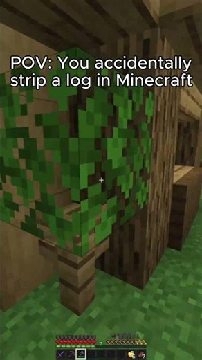 POV: You Accidentally Strip a Log in Minecraft..