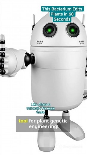 🌿 How Agrobacterium Transfers Genes to Plants | Plant Biotechnology #shortsfeed #biotechnology