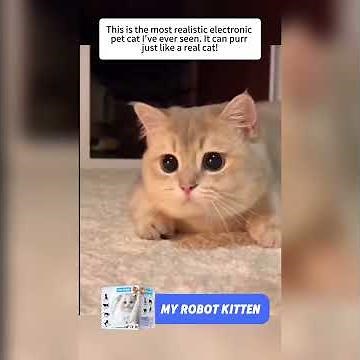 The best technical companion of 2025 – My real robot cat