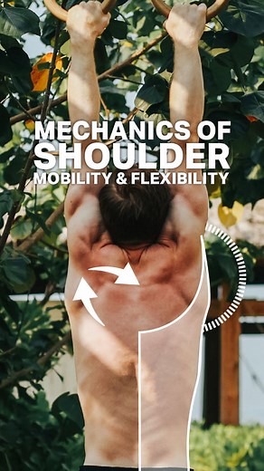 Matt Smith | Mobility & Flexibility Toolkit on Instagram: "Our only YT video of 2022, “Mechanics of Shoulder Mobility & Flexibility” has just gone live. Over the past year we’ve put together this video to break down the complex shoulder joint with custom 3D anatomy, allowing you to improve your understanding of increasing range of motion, maintaining shoulder health and optimising your training for efficient and faster results. In the video you’ll learn: - How to assess which muscles are tight a