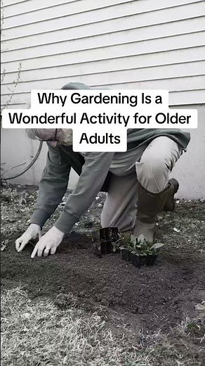 Why Gardening Is a Wonderful Activity for Older Adults #gardening #exercise