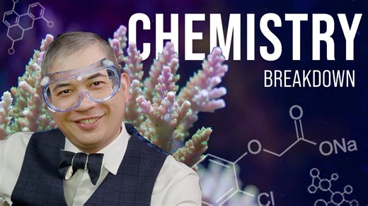 The Complete Beginner's Guide to Reef Aquarium Chemistry