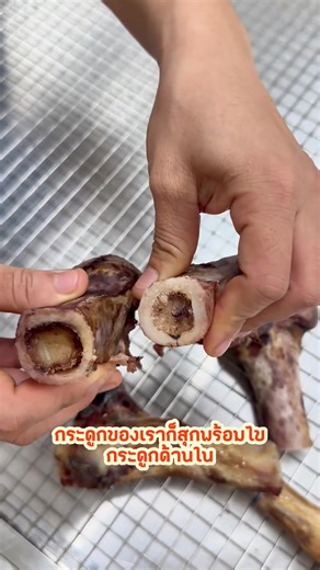 ทำเอง! ไขกระดูกสำหรับน้องหมา ด้วยกระดูกข้อหมู