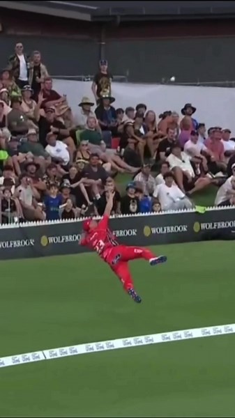 Ruben Love cricket catch highlights