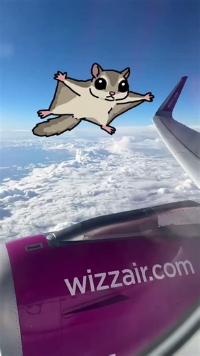Wizz air #wizzair #airplane #flight #flightvideo #plane #airplaneflying