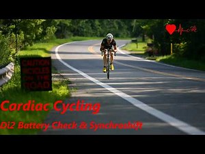 Di2 Battery Check and Synchro Shift Mode Change