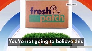 Watch Fresh Patch XL Bundle - Real Grass Pee and Potty Training Pad and Plastic Tray for Multi-Dog Hous... on Amazon Live