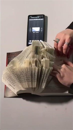 Support pls 🏎️ Web application: www.foldbook.art