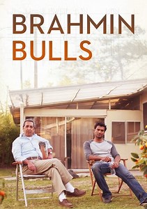 Brahmin Bulls