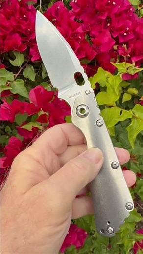 Strider Knives Concealed Carry Titanium Carry SMF