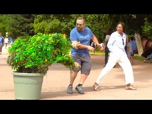 Ultimate Bushman.Top Funniest Moments Bushman Prank 2025 Part 1