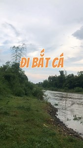 621K views · 7.1K reactions | Mưa to xong lại ra sông xem có con #cá nào không đây | Sa cá Hợi Liên | Facebook