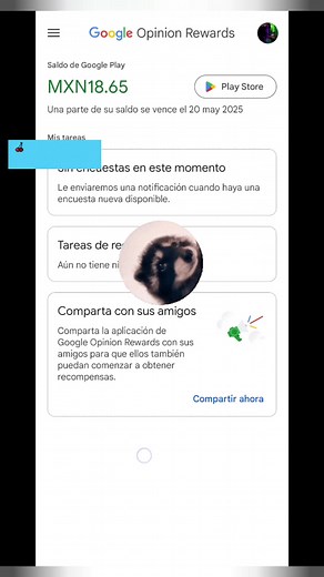 Solución a Problemas con Google Opinion Rewards