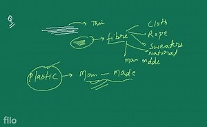 FibresFibres are long thread like structure of thinner_. It is... | Filo