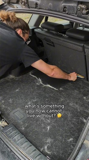 your car is basically a fur magnet here’s why ⬇️ car seats? static central pet hair? clingy by nature vacuums? def not built for embedded fur here’s the hack every pet parent needs 🐶 keep uproot pro in your glove box and swipe fur away in seconds! #uprootclean #uprootpro #cleaninghack #cleaningmotivation #pethairremoval