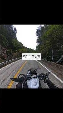 자작나무숲길#바이크#인제#원대리#라이딩#강원도여행