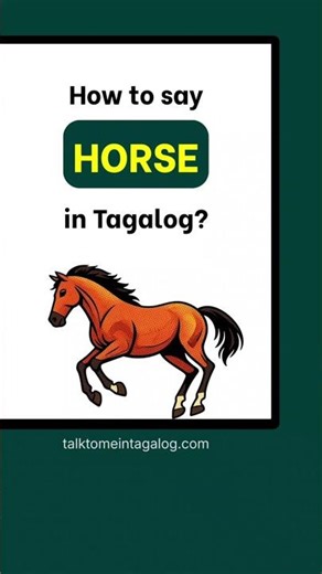 How to Say HORSE in Tagalog? | Learn Filipino