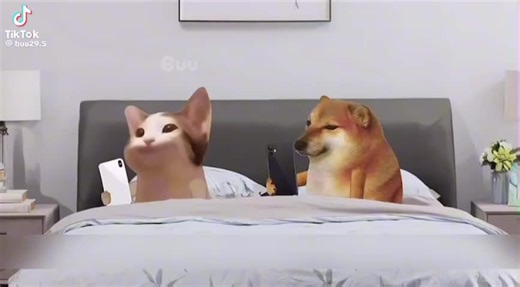 Video của Chem vui tươi (@vannam200y1) với bản nhạc nhạc nền - Chim nho - Chem vui tươi