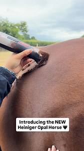 463K views · 4.2K reactions | Introducing the brand new Heiniger Opal...