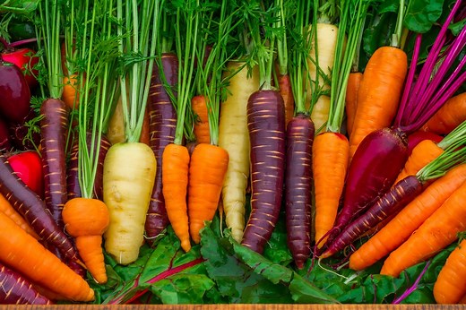Are carrots orange because of a Dutch revolutionary?
