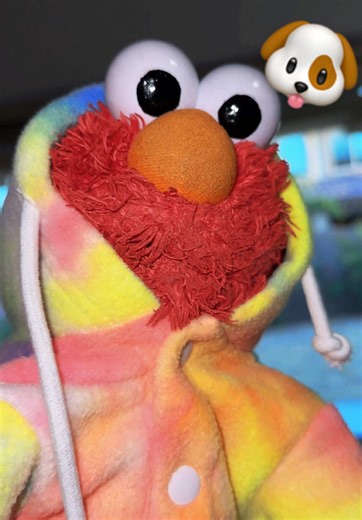 Elmo Dogs: Funny Dog TikToks and Reactions