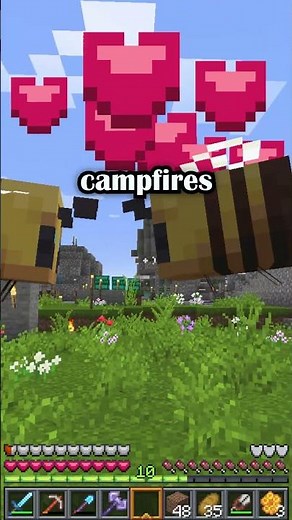 Bees in Minecraft Survival Tutorial