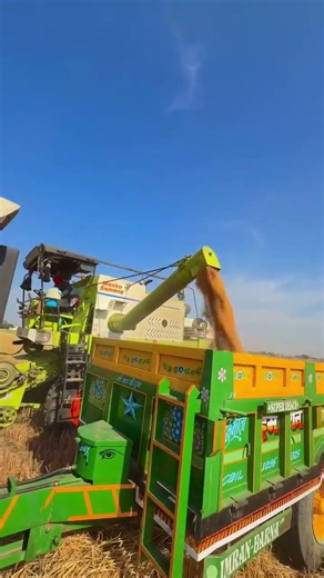 Vishal 435 Brisk Plus in Wheat Field | Vishal 435 Combine Harvester Working Video 2026