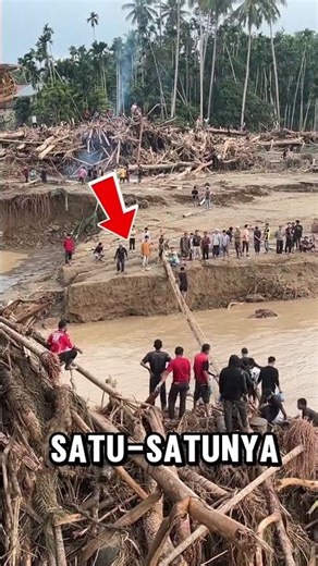 using logs to make a makeshift bridge #shorts #shortvideo