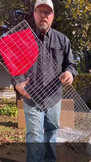 One popular and effective method for washing black walnuts involves...