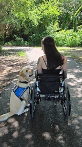 🎒MODU-SATCHEL Adaptive Smart Bag by @feeldom_adaptive_gear How can this bag be used? •Power Wheelchair Side Arm •Manual Wheelchair Back •Walker / Rollator / Stroller •Crossbody Bag #feeldom #adaptivebag#accessibility #accessible #accessibilitymatters #disabilityinclusion #inclusivetravel #disabilityadvocate #wheelchairaccess #accessibilityawareness #accessibletravel #wheelchairtravel #accessibletourism #wheelchair #wheelchairmodel #disability #wheelchairlife #disabilityawareness #disabledtravel