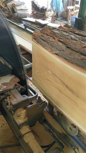 1.6M views · 14K reactions | Big locust!﫣 Back to 2021  #mooressawmill #familybusiness #TimeTravel #woodworking #manufacturing #lumber #circularsawmill #trend #StarsEverywhere #fblifestyle | Moore's Sawmill | Facebook