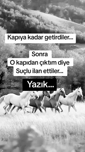 Horses Galloping in a Grassy Field