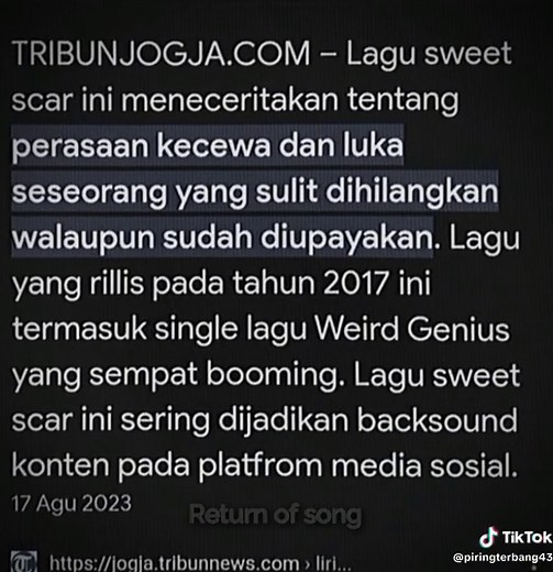 Sweet Scar TikTok Dance | Fast-paced and Catchy Music Video