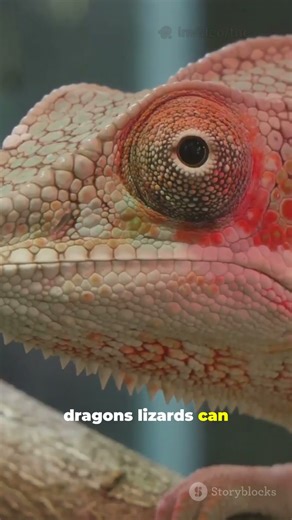 7 Insane Animal Reproduction Facts in 60s #budgettravel #facts #discoverthewonder